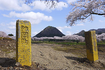中川原コミュニティ公園の桜